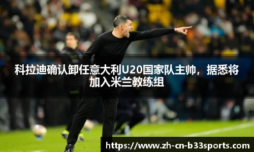 B33体育平台